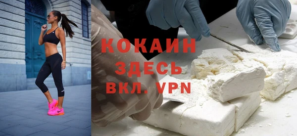 МДПВ Абаза